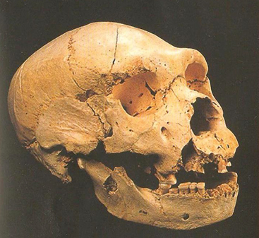 atapuerca1